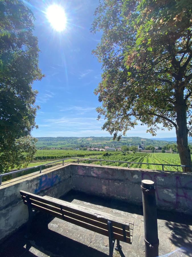Haeuschen Am Plenzer Vila Ingelheim am Rhein Exterior foto