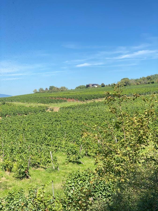 Haeuschen Am Plenzer Vila Ingelheim am Rhein Exterior foto