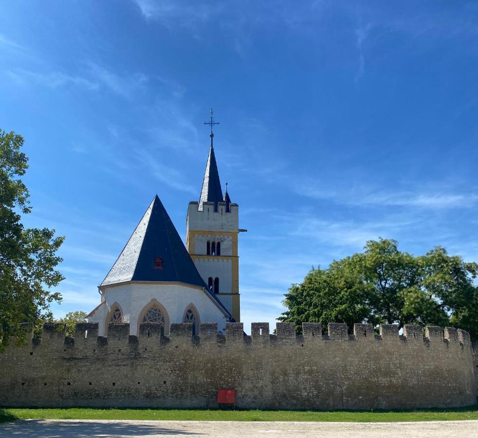 Haeuschen Am Plenzer Vila Ingelheim am Rhein Exterior foto
