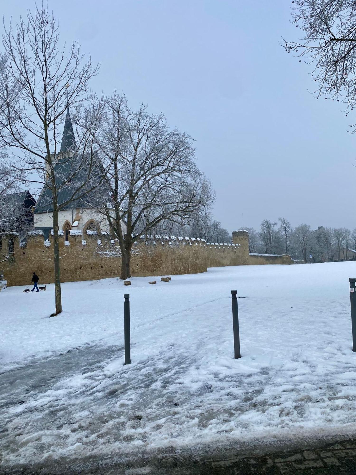Haeuschen Am Plenzer Vila Ingelheim am Rhein Exterior foto