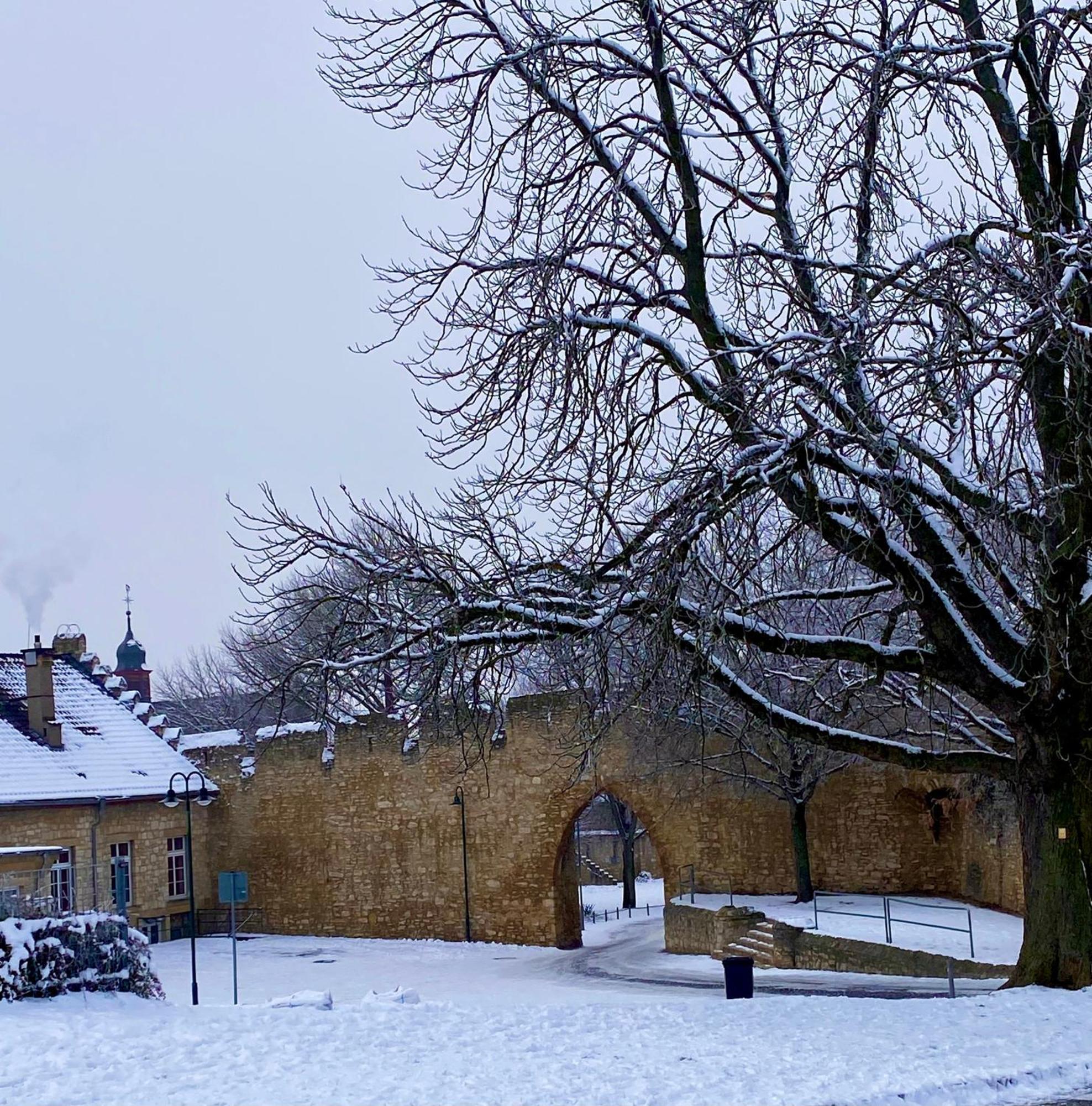 Haeuschen Am Plenzer Vila Ingelheim am Rhein Exterior foto