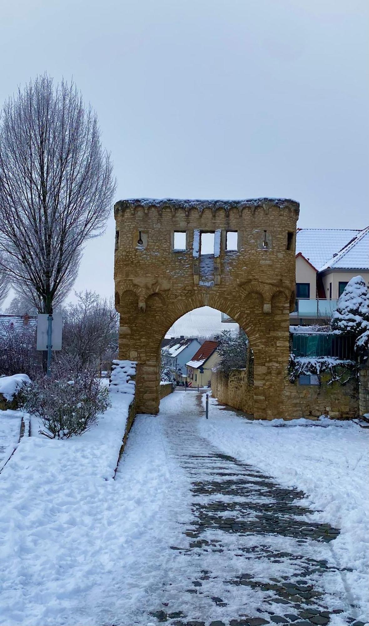 Haeuschen Am Plenzer Vila Ingelheim am Rhein Exterior foto